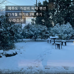 제주도 표선 가성비 독채 펜션: 무라소원 (22개월 아기와 3박 후기)